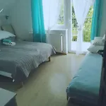 Goscinne Jutrzenka سفارجيفو