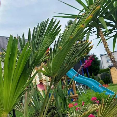 Goscinne Jutrzenka ホームステイ スバジェボ