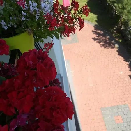 ホームステイ Goscinne Jutrzenka *