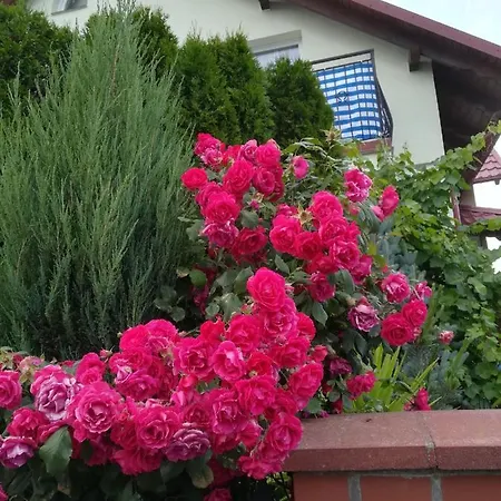 Goscinne Jutrzenka Séjour chez l'habitant